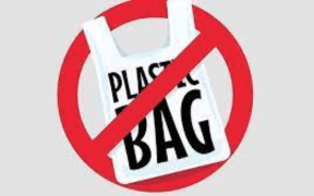 Ban on plastic bags ordered in Hazara (1)