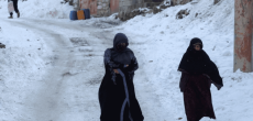 More than 160 Afghans perish in the freezing conditions.