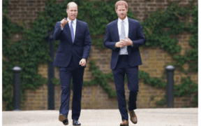 Prince Harry accuses Prince William of physical attack.