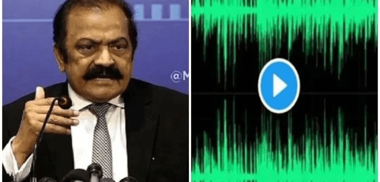 Sanaullah urges SC, NA speaker to take notice of new audio leak purportedly featuring PML-Q lawmakers