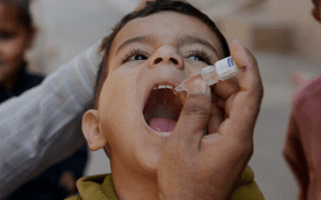 Polio drops in KP