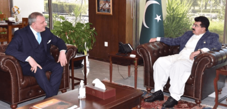 Sadiq sanjrani meets Italian Ambassador