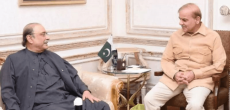 Asif Zardari meets PM Shehbaz