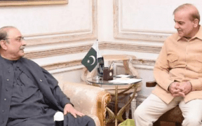 Asif Zardari meets PM Shehbaz