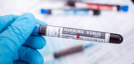 Marburg virus in Spain