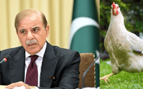 PM asks chicken price