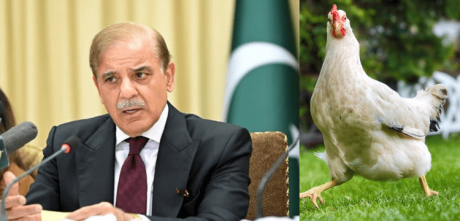 PM asks chicken price