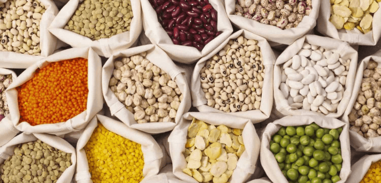 Govt starts releasing pulses consignment to avoid shortage in Ramzan.