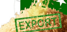 Pakistan's rice exports drop by 16 percent to $1.08 billion.