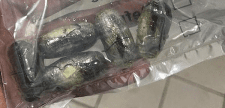 Joint Excise Police operation foils drug smuggling attempt to Qatar