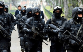 11 terrorists arrested by CTD