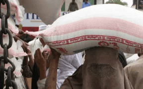 KP flour distribution