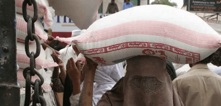 KP flour distribution