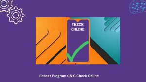 Ehsaas Program CNIC Check Online