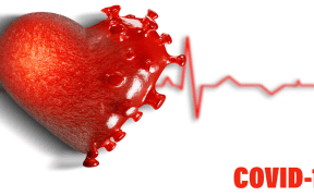 Even after the virus is gone, COVID-19 can change the heart?