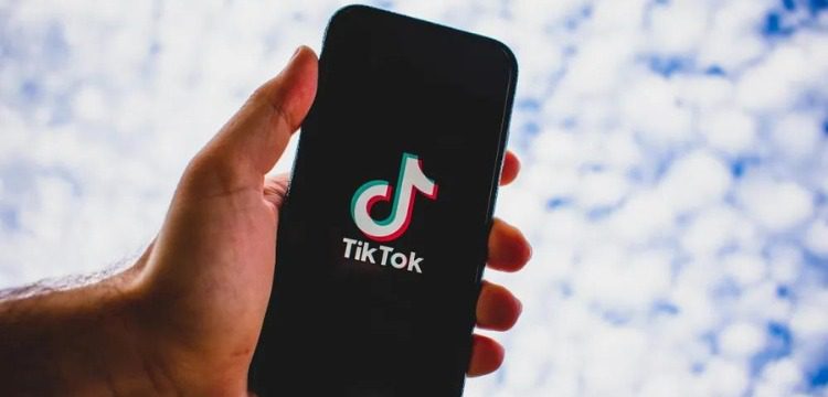 top pakistani tiktok stars