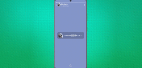 WhatsApp voice status