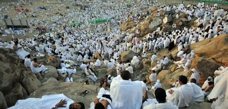 Hajj Sermon will be translated in 20 languages this year