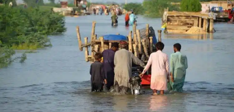 Sutlej River Floods Bahawalpur Causing Huge Damage Potential