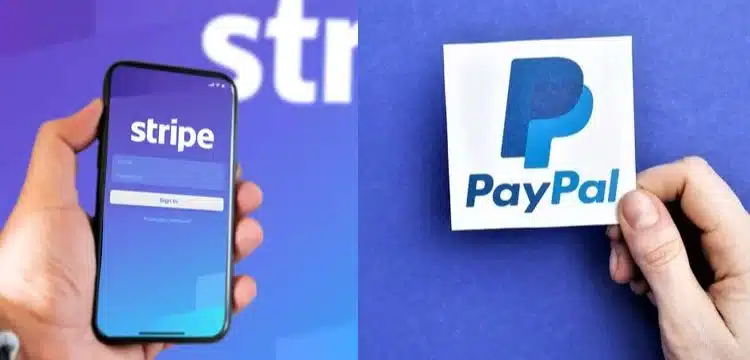 Interim Pm Authorized The Inclusion Of PayPal And Stripe In Pakistan