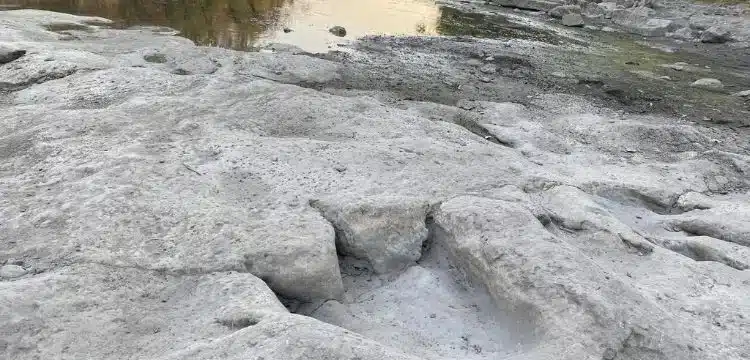 Great Discovery Related To Dinosaur Tracks As Water Levels Drop