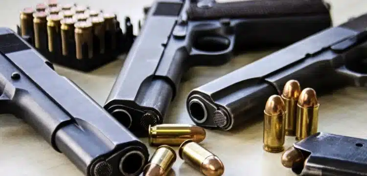 Punjab Will End The Prohibition On Issuing New Gun Licenses