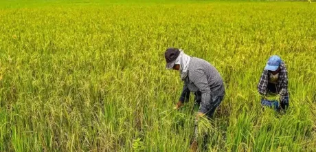 Farmers Urged To Get Ready For Mid Of October