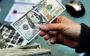 Dollar Falls After 2-Day Gain Against Rupee