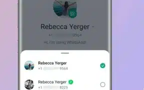 WhatsApp Launches Massive Update Like Instagram