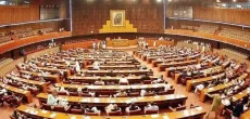 Senate Committee Approves Criminal Laws Amendment Bill