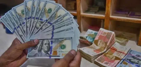 Pakistani Rupee Falls Against US Dollar And Others