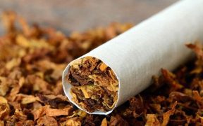Embracing Tobacco Harm Reduction to Save Lives in Pakistan