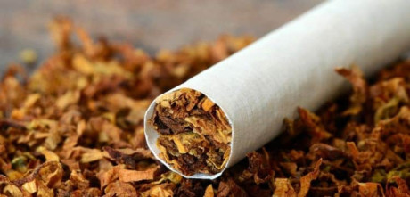 Embracing Tobacco Harm Reduction to Save Lives in Pakistan