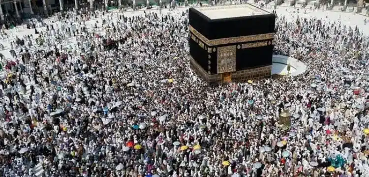 Government Cuts Hajj 2024 Expenses, Ensures Top Facilities