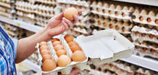 Egg Prices Reaches to Historic Highs Across Pakistan