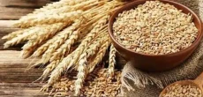 No Bids For Pakistan's Unattractive Wheat Tender Terms