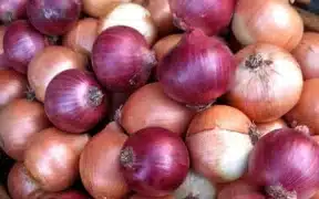 Government Restricts Onion Exports Due To Soaring Local Prices