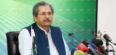 PTI leader Shafqat Mehmood pulls out of Elections 2024