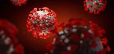 NIH Releases Advisory On New Coronavirus Variant Precautions