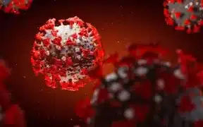 NIH Releases Advisory On New Coronavirus Variant Precautions