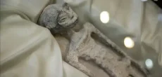 Peruvian Alien Mummies Debunked As Earth-Made Figurines