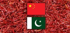 First Batch Of Dried Chilies From Pakistan Reaches China