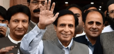 LHC Releases Parvez Elahi On Bail