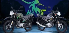 Yamaha Unveils Markhor-Themed Sticker For YBR 125G