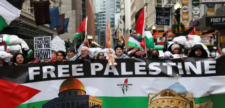 Palestinian Delegates Urge Israeli Occupation Cessation At ICJ