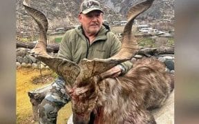 How Much The American Guy Paid To Kill Kashmiri Markhor?