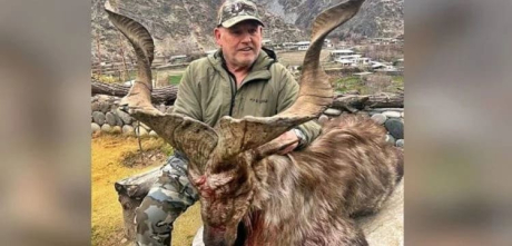 How Much The American Guy Paid To Kill Kashmiri Markhor?