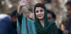 Punjab CM Maryam Nawaz's Cabinet Composition?