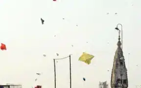 Punjab Police Officer Suspended Over Kite-Flying
