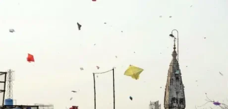 Punjab Police Officer Suspended Over Kite-Flying